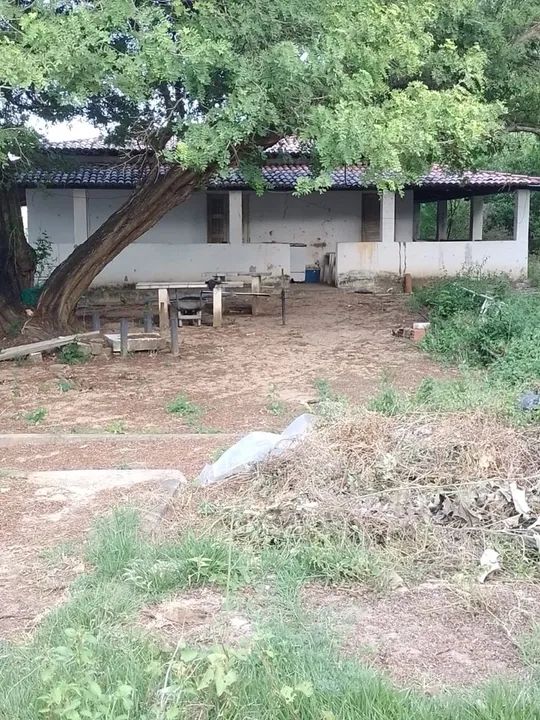 Propriedade na beira do rio São Francisco Traipu/Gararu - Foto 4