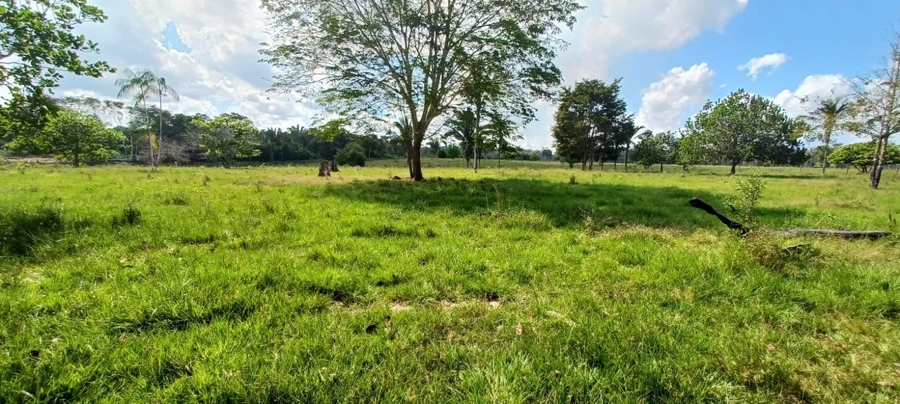 Sitio na linha Transpurus - KM 13 BR 319