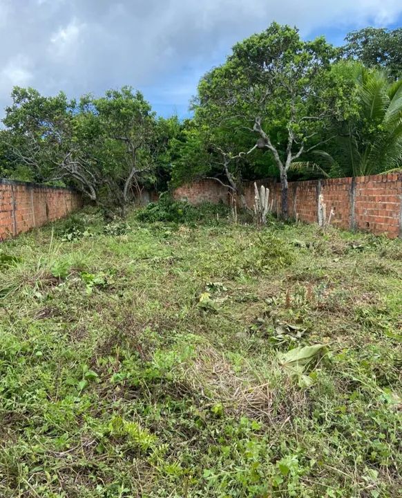 Terreno em ótima localização - Foto 7