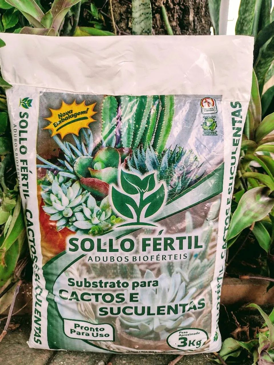 Substrato Cacto, Húmus de minhoca, Substrato pra orquídeas 