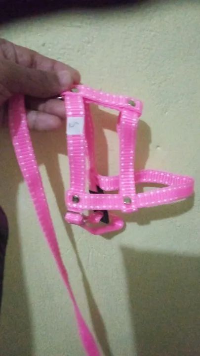 Coleiras top tradicional peitoral e guia  - Foto 4