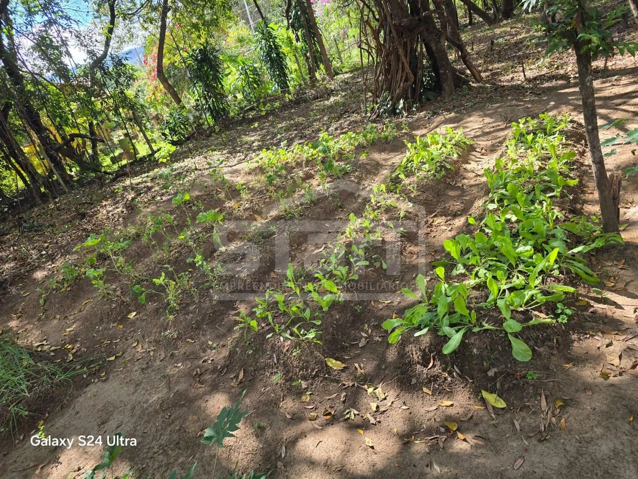 Lindo Sítio em São José da Serra por R 990.000 - aceita PERMUTA - Foto 5