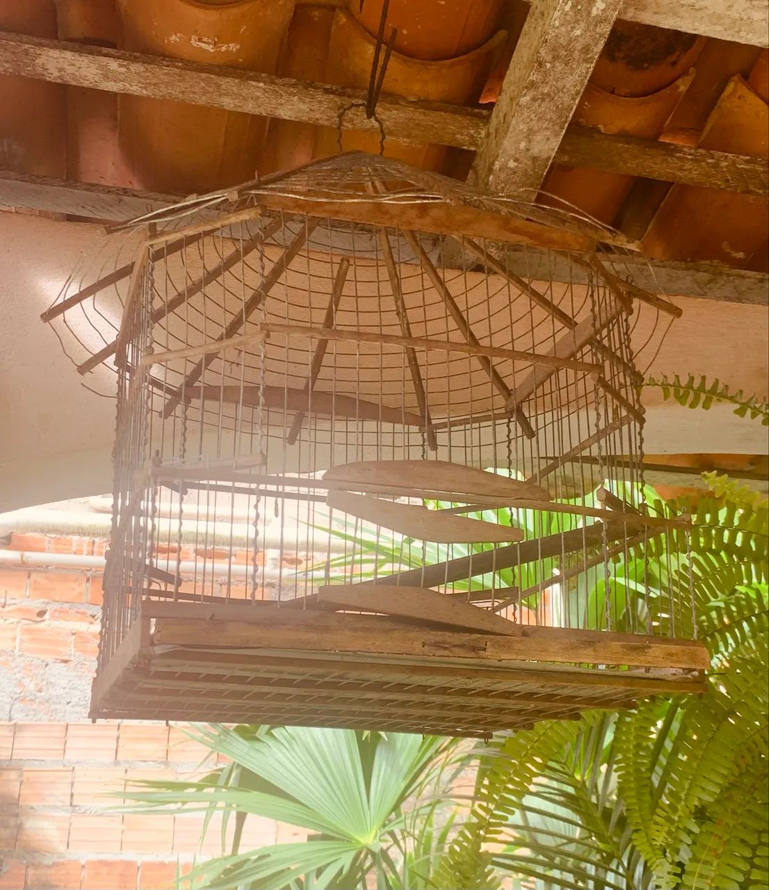 Gaiola bonita  - Foto 4