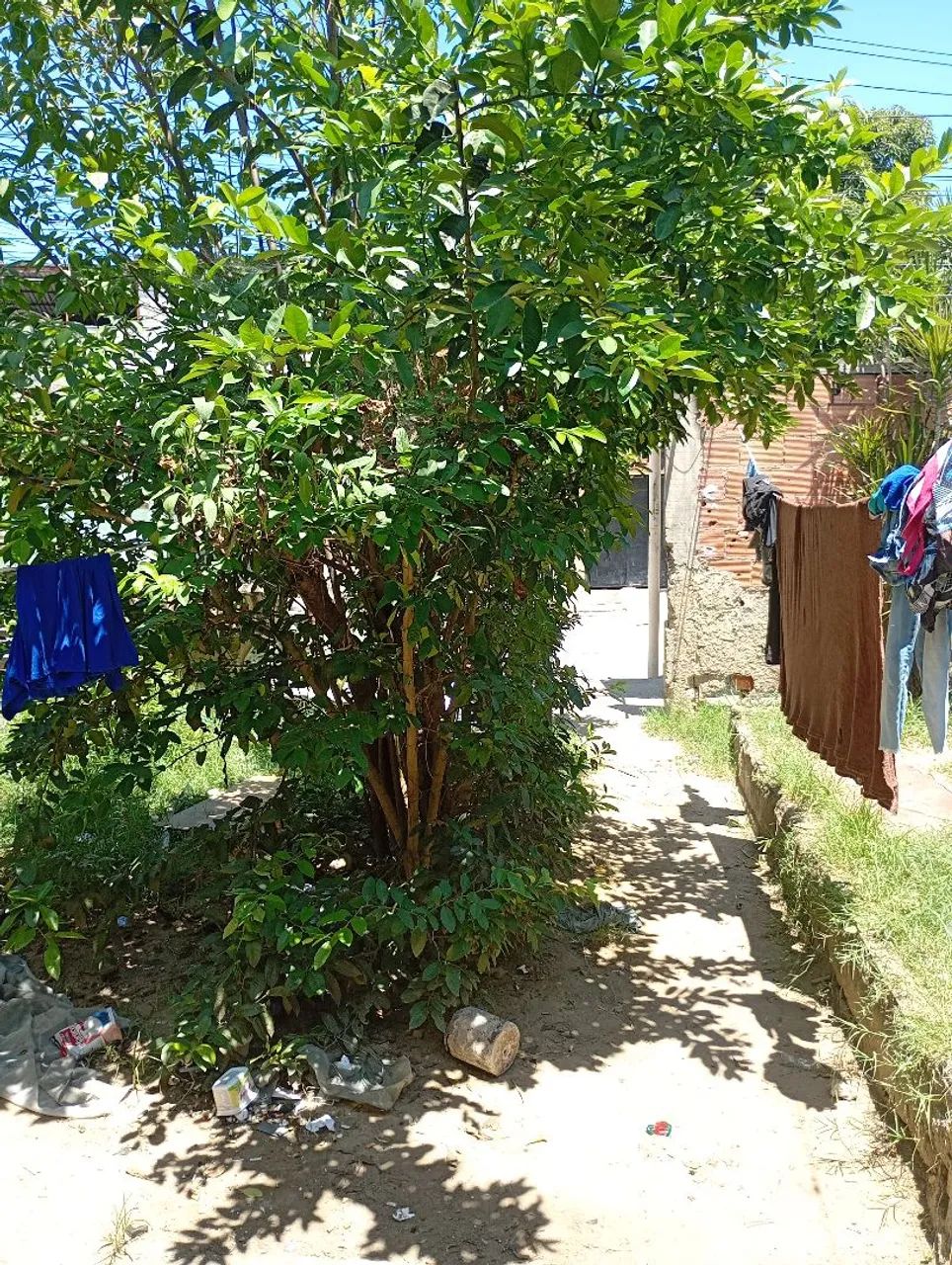 Foto - São Gonçalo - Nova Cidade