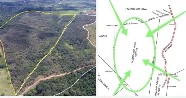 Fazenda de 14 alqueires com Teca  - Foto 2