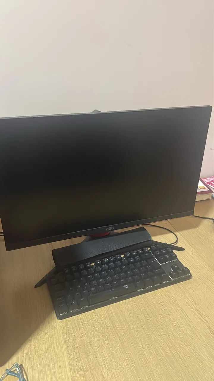 Monitor gamer