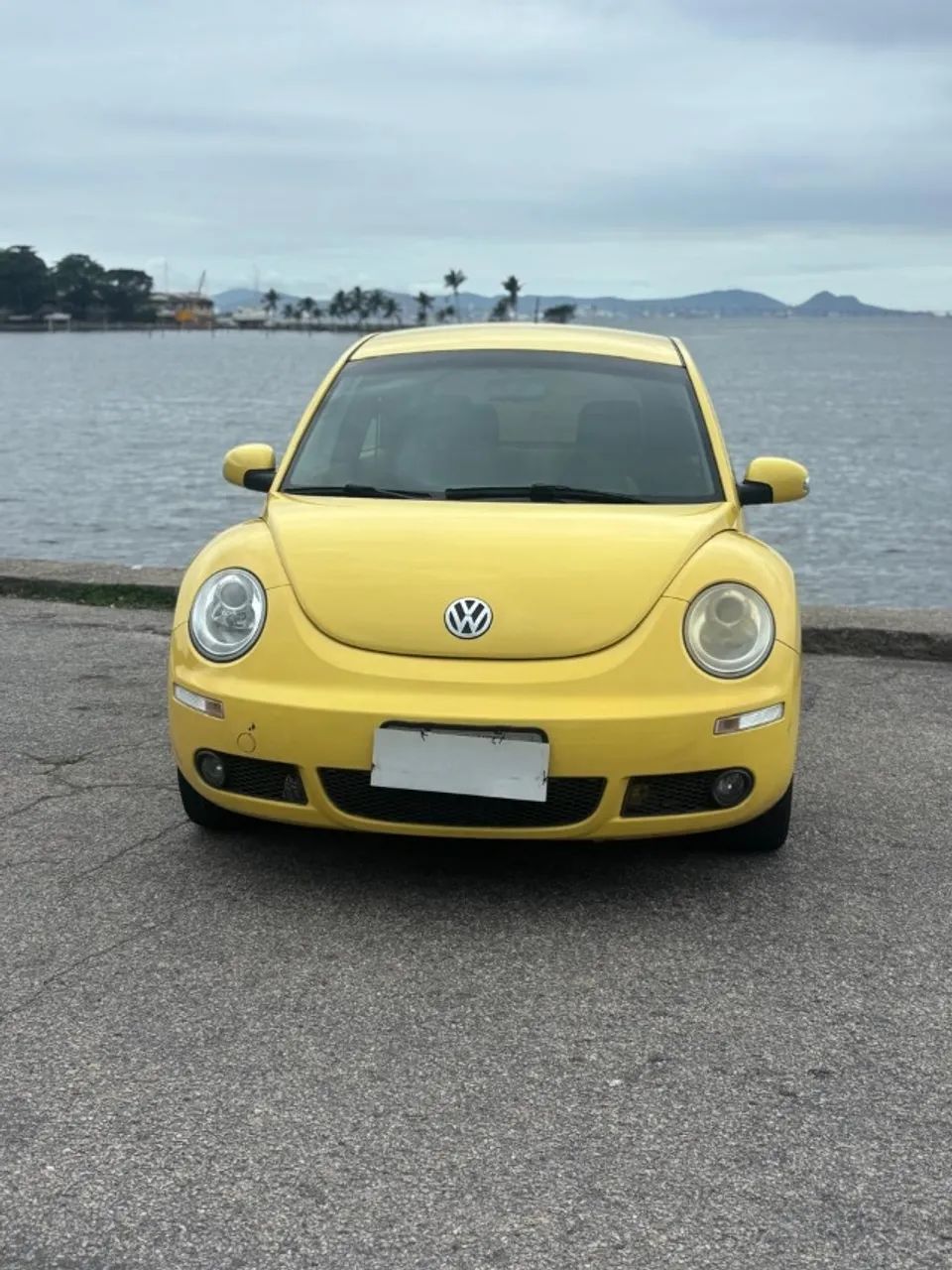 Volkswagen New Beetle 2.0 AT 2009