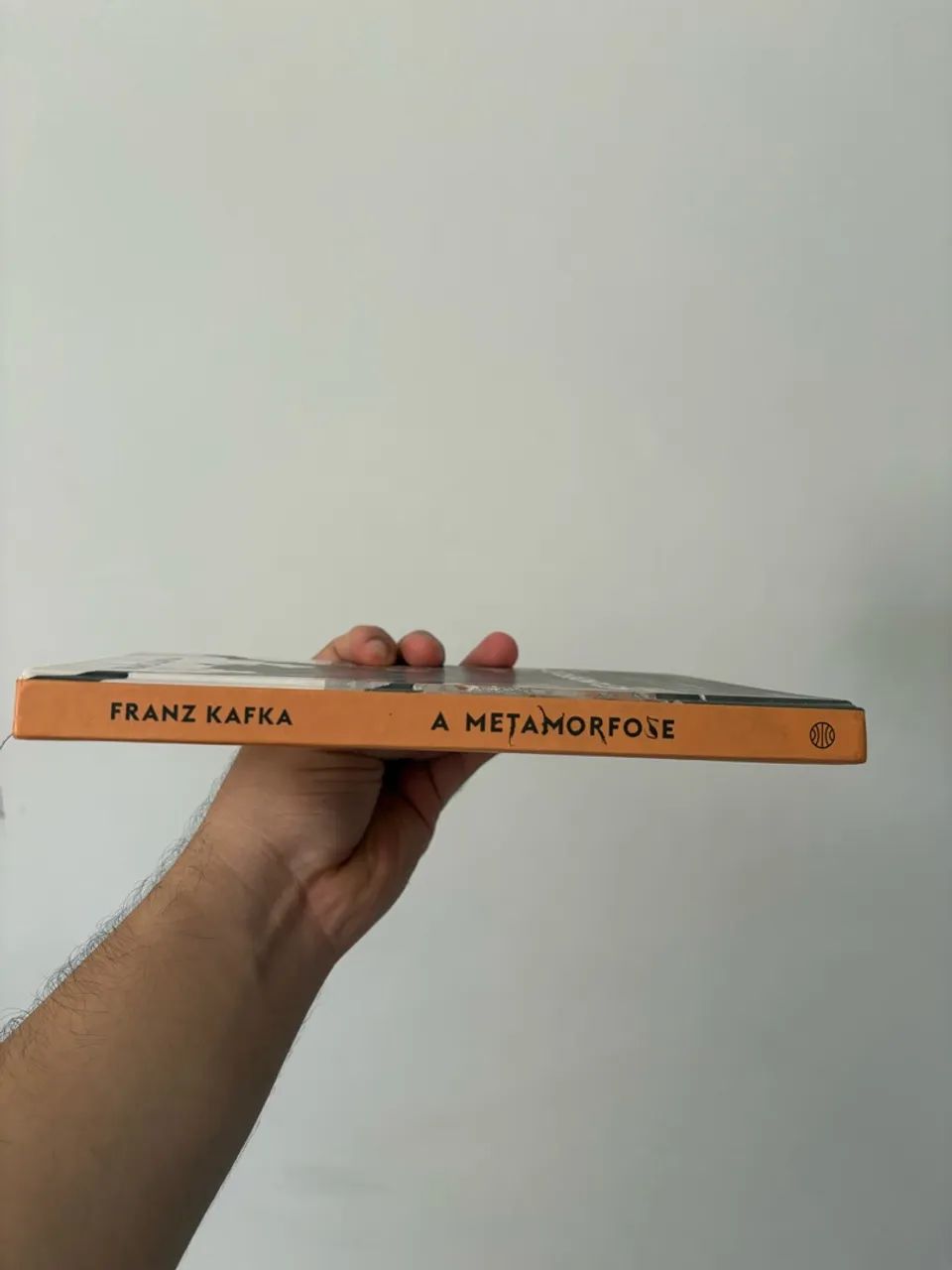 Livro A metamorfose  - Foto 3
