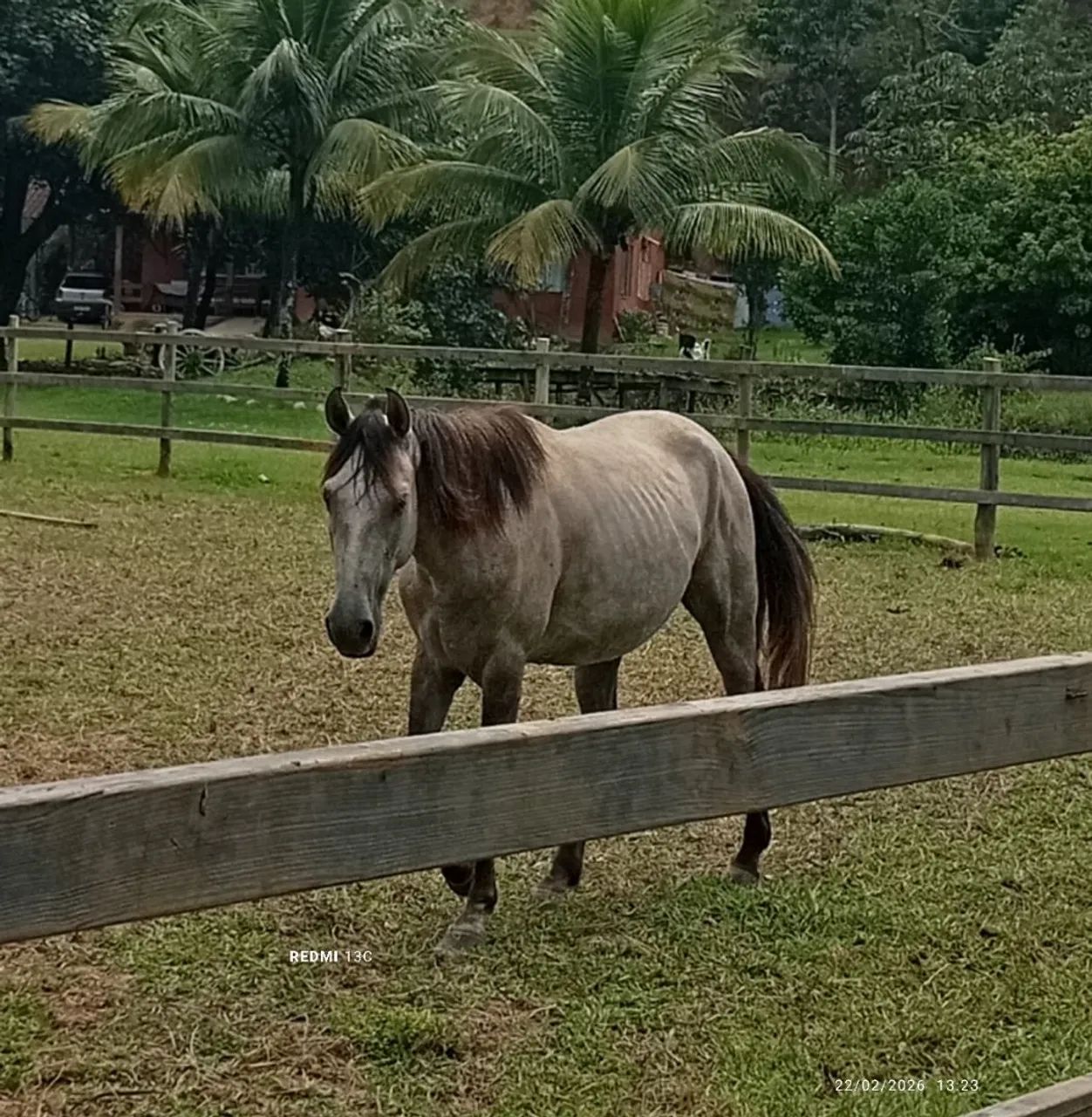 Vendo ou negocio - Foto 3