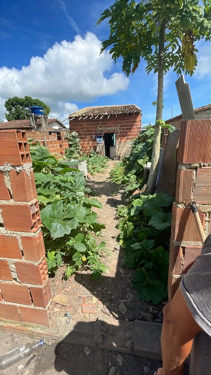 Vendo casa  - Foto 3