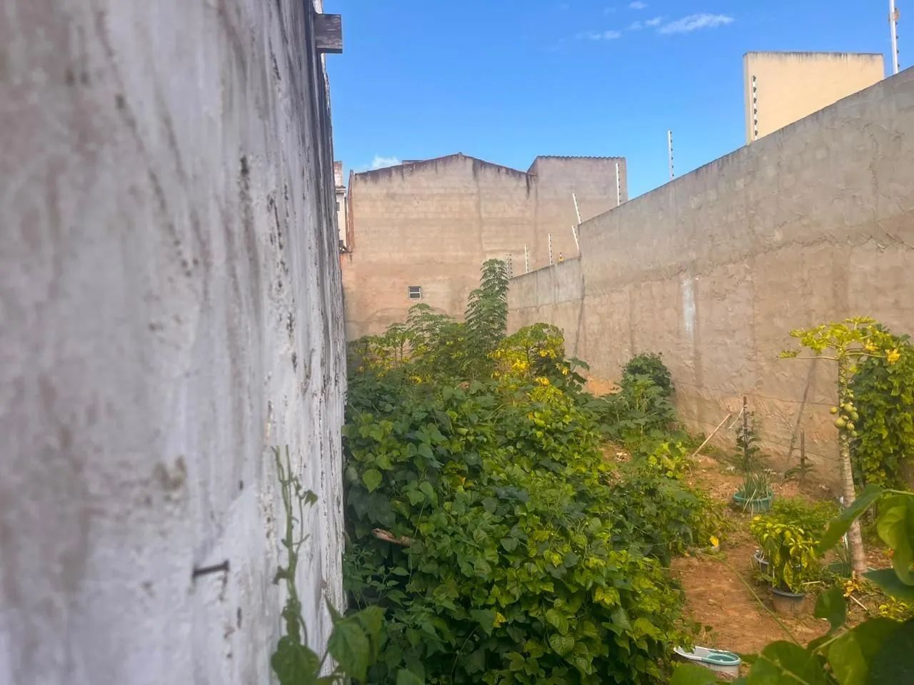 Terreno a venda em Lagarto SE - Foto 5