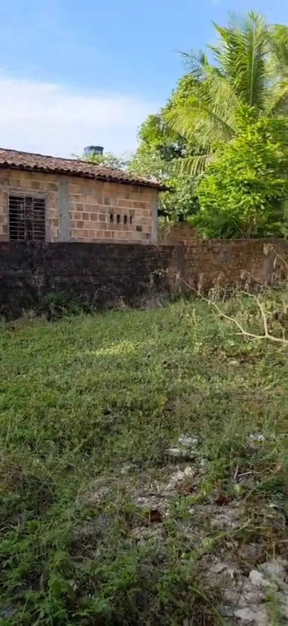 Foto - Dias DÁvila - 