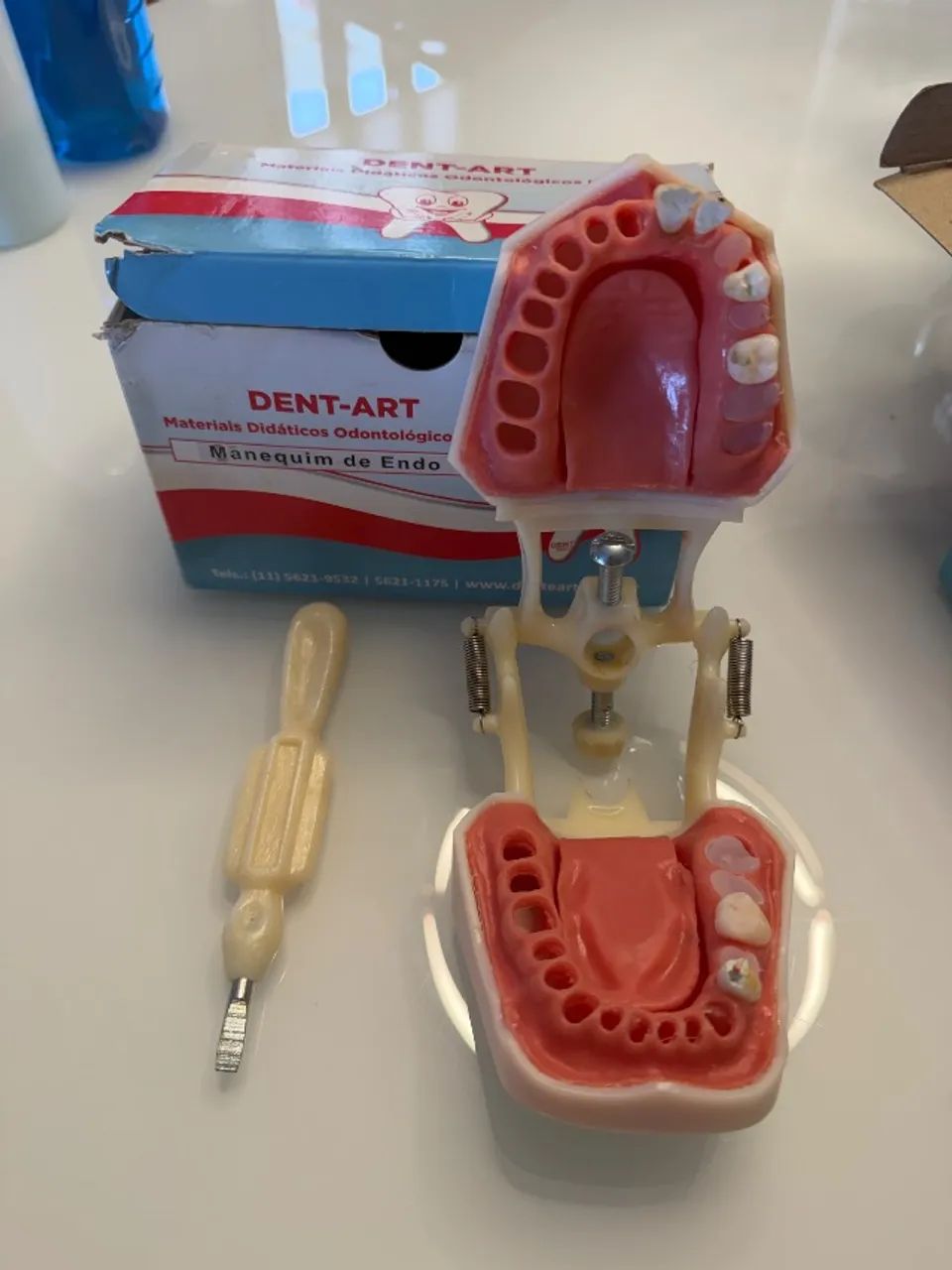 Manequins Odontológicos (Endodontia, Pediatria, Periodontia e Dentística) marca Dent-Art. - Foto 2