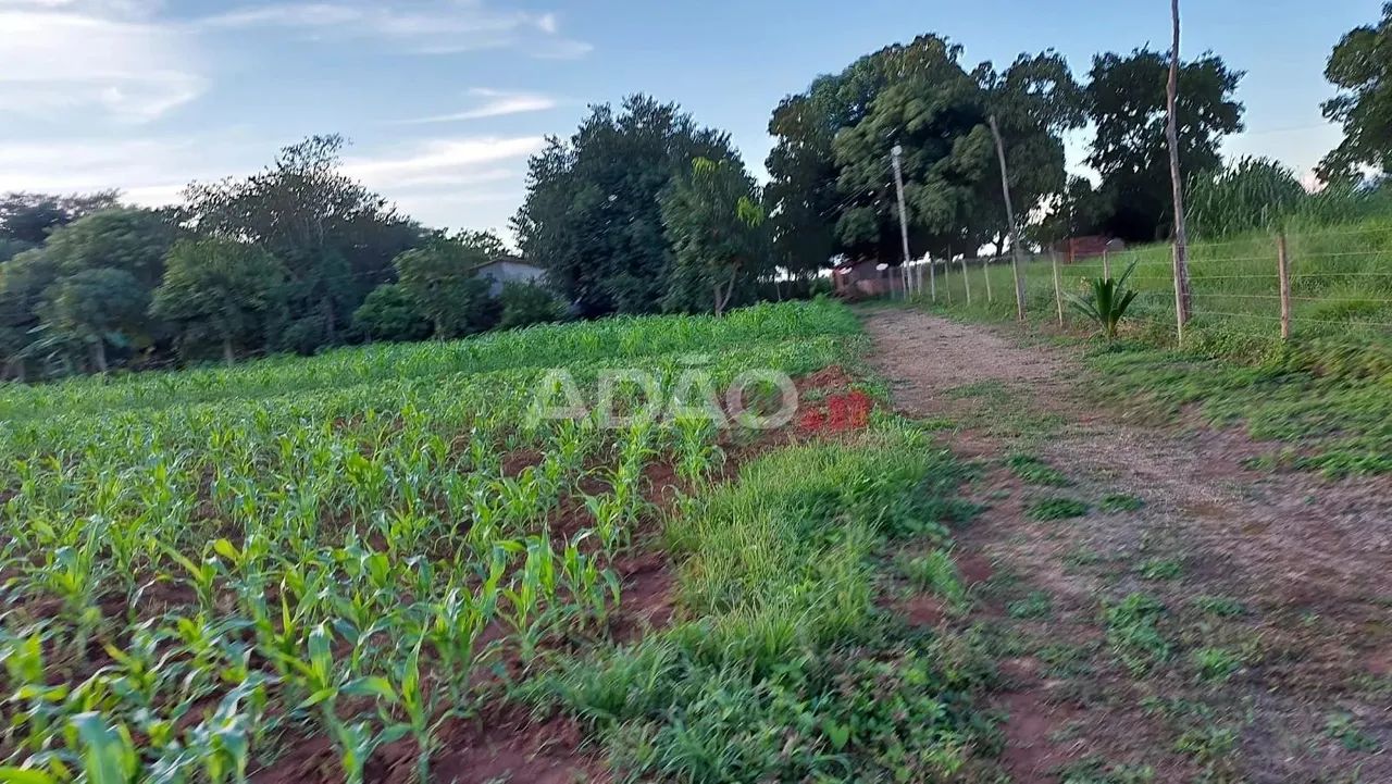 Chacara em Aragoiania Chácara à Venda, 3256.00 por R$ 350000.00 AD35979 - Foto 4