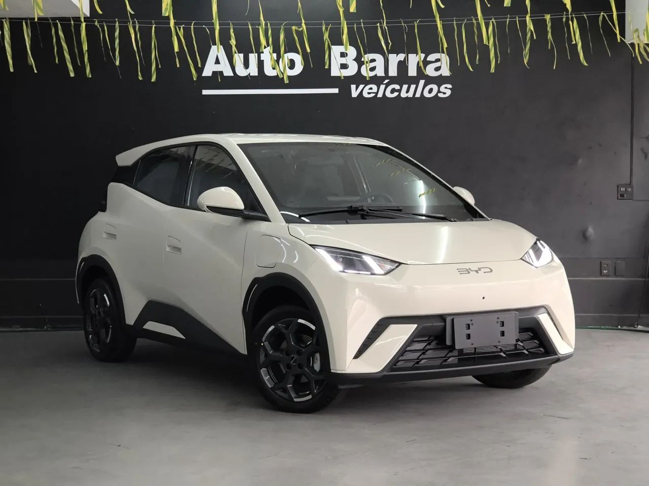 BYD Dolphin Mini (Elétrico) 2027 - Foto 3