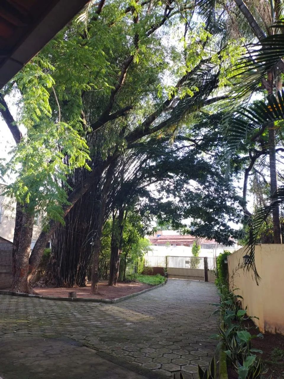 Linda casa na região da Pampulha  - Foto 5