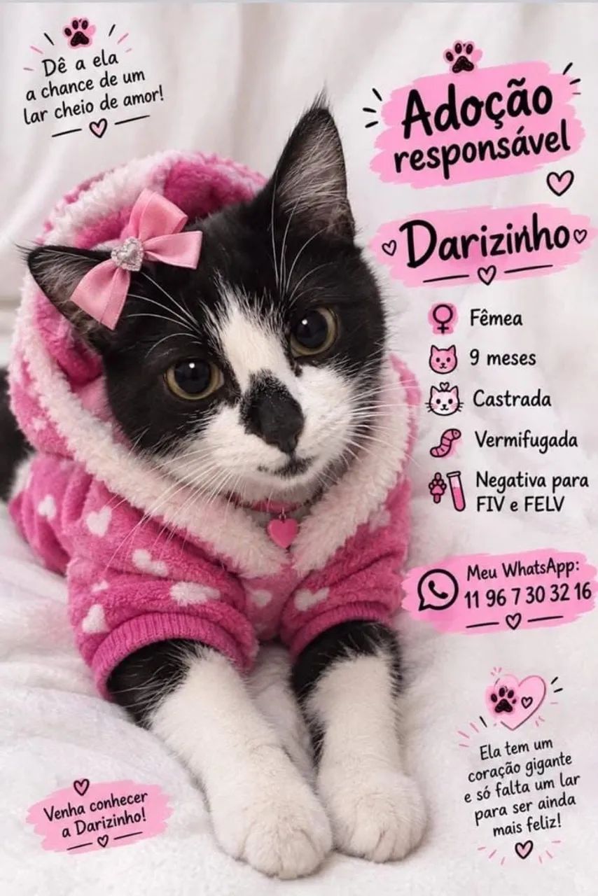 Doação gata