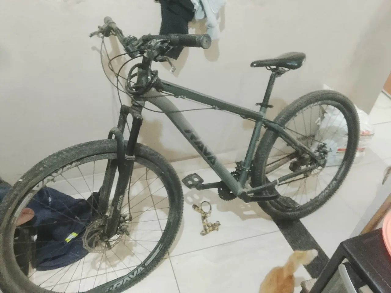 Bicicleta