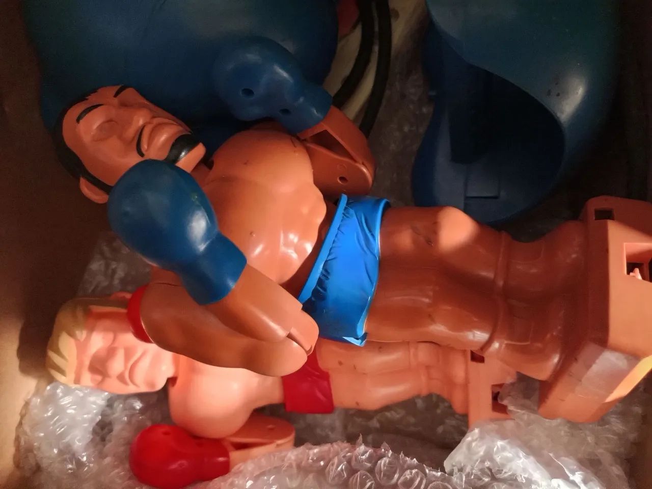 Boxe da Estrela  - Foto 3
