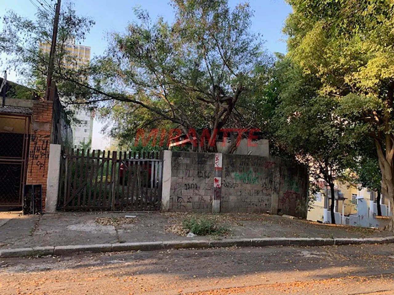 Terreno de 235m² em Sumaré - Foto 2