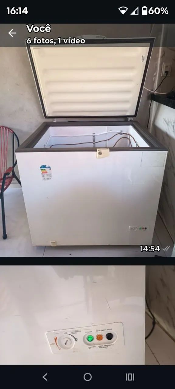 Freezer vertical