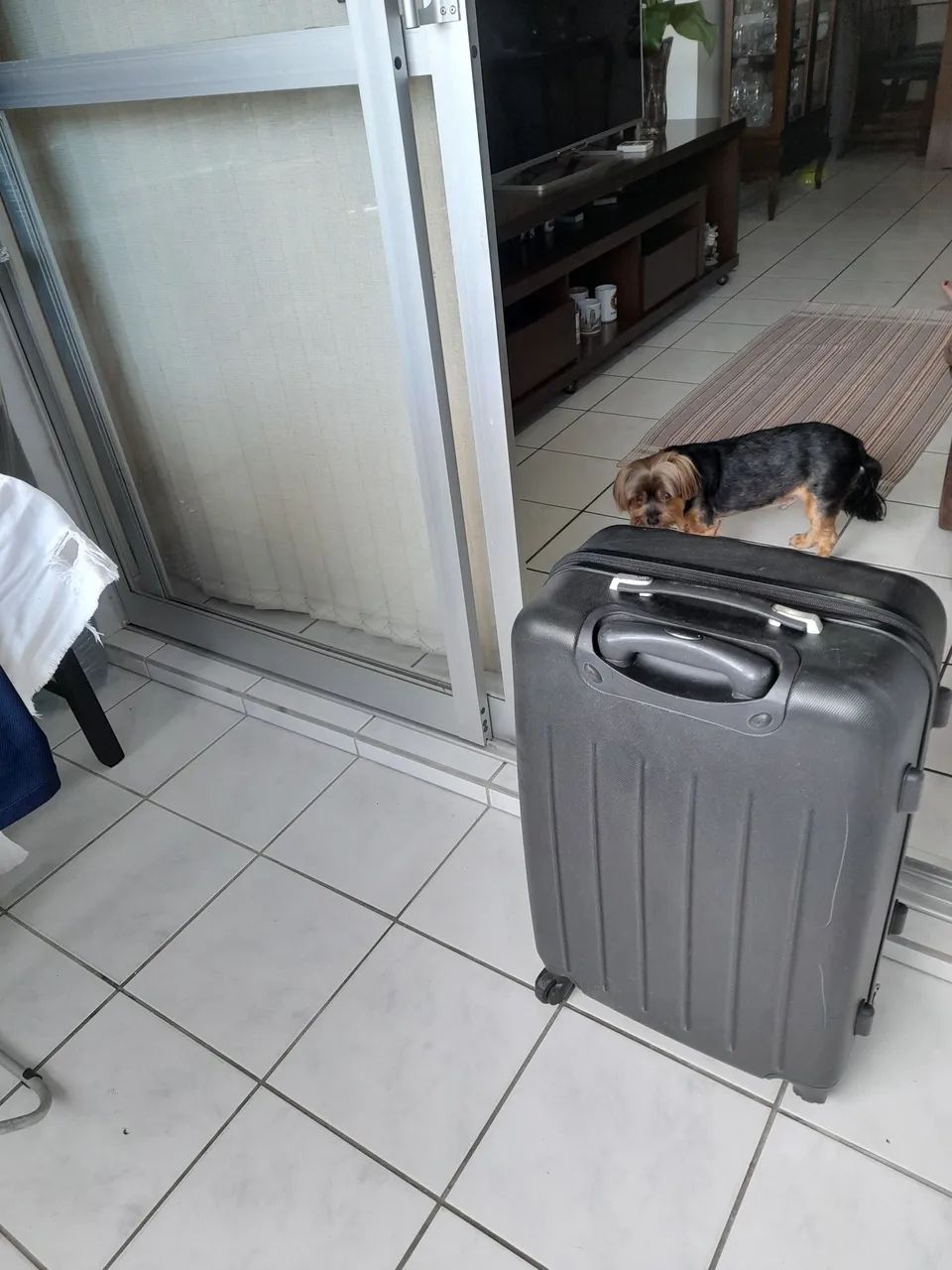 Malas de Viagem  - Foto 5