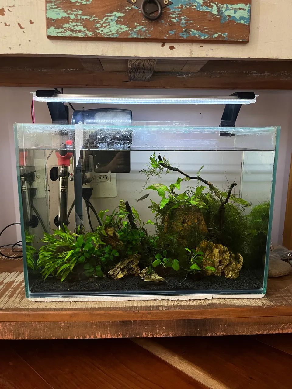 Aquário 45L completo 