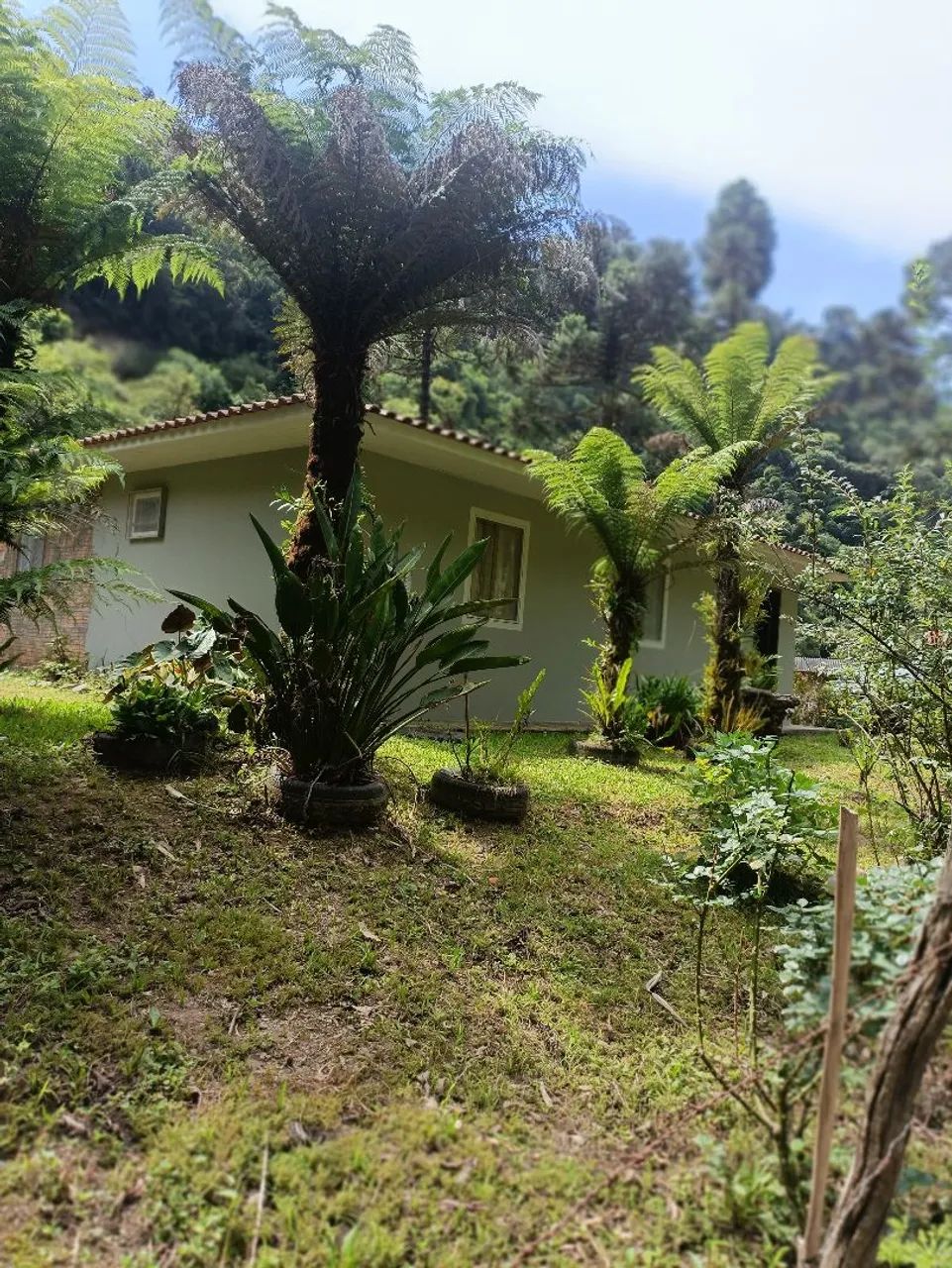 Sítio em Alfredo Wagner  - Foto 4