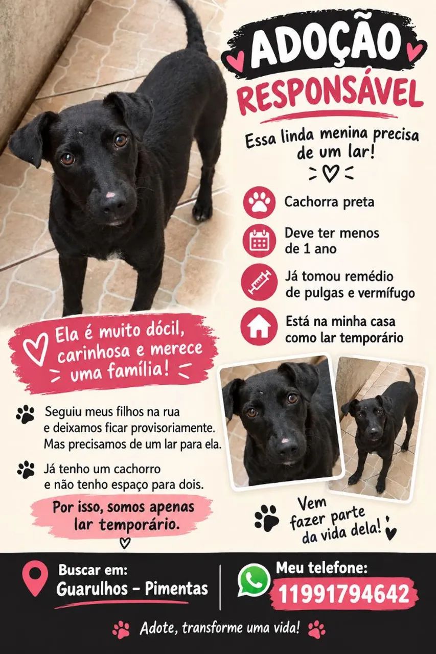 Doa-se CACHORRA