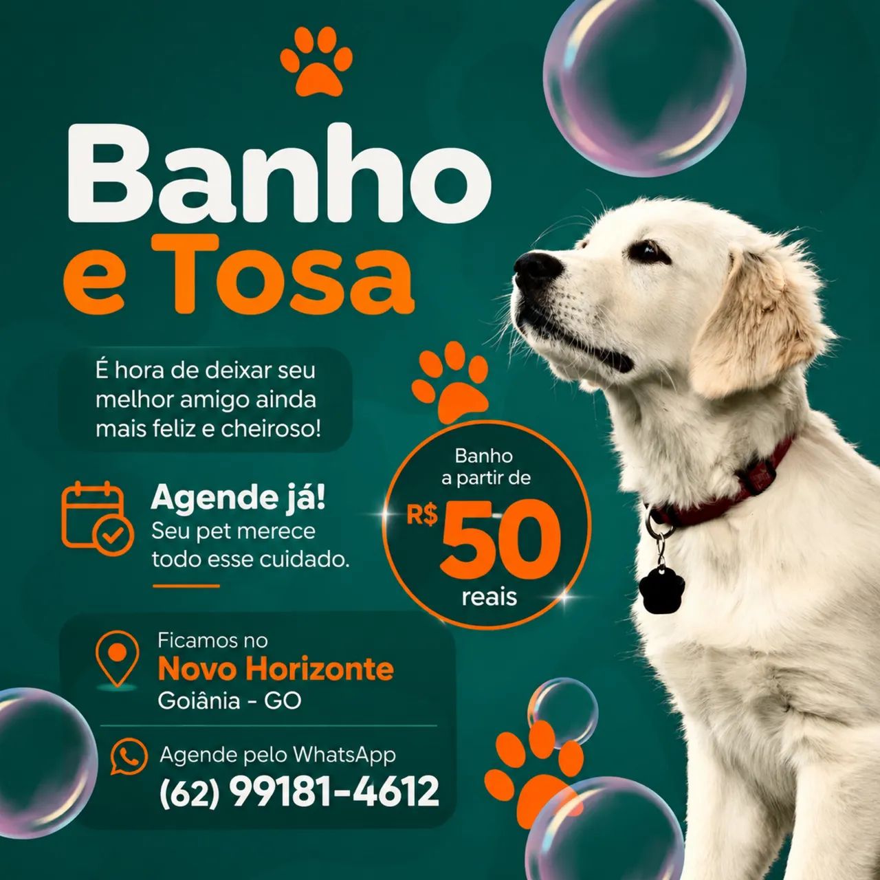 Agro Plus pet shop - Banho e tosa  - Foto 3