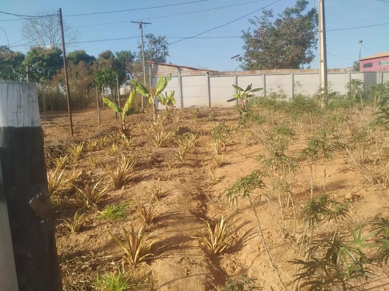 Vende se sítio em Martinho Campos (pontal) - Foto 5