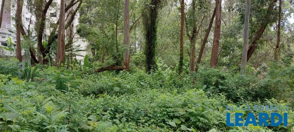 TERRENO - MORUMBI - SP - Foto 4
