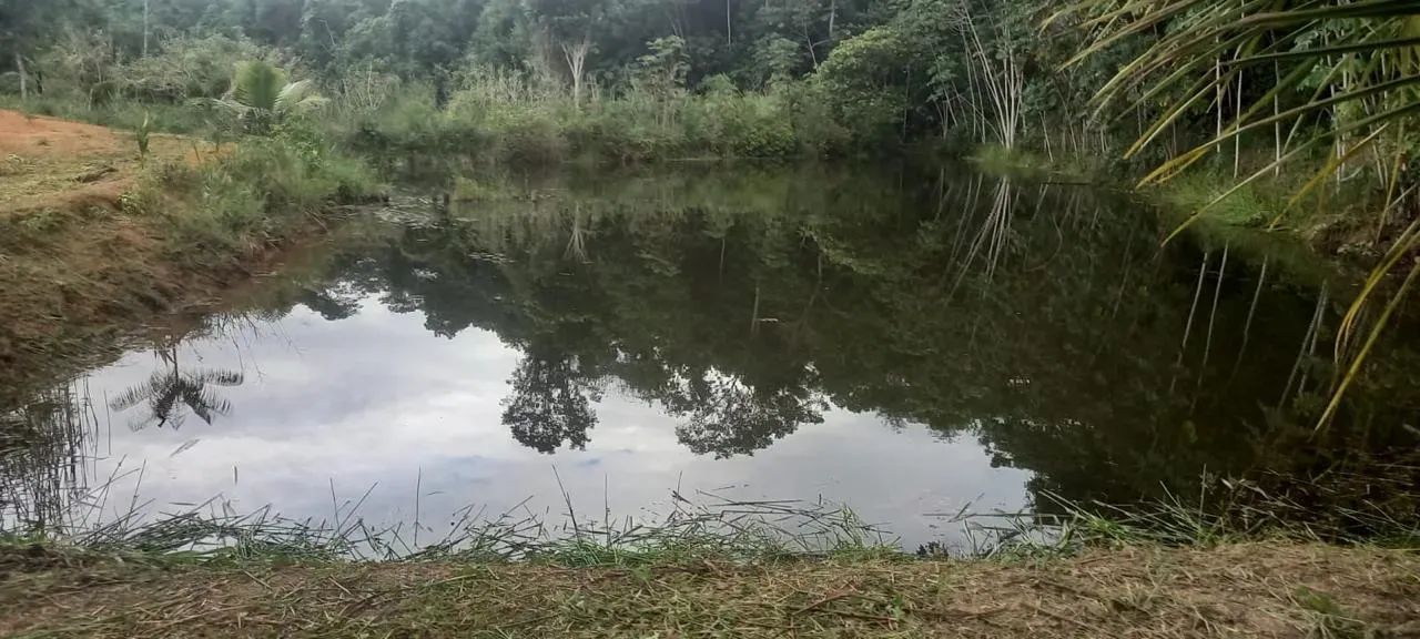 Bela propriedade em Ibiraçu - Foto 3