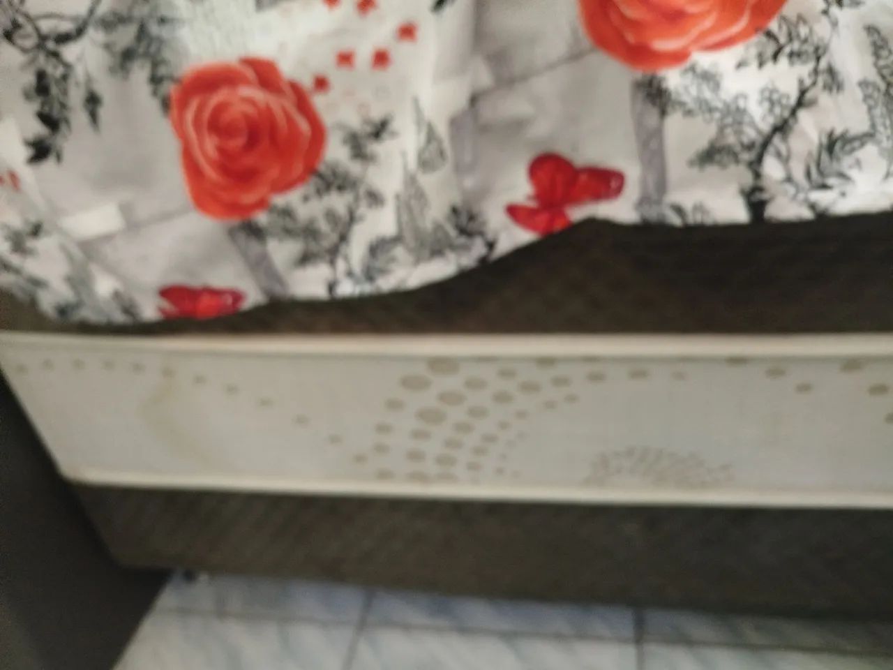 Cama ox - Foto 3