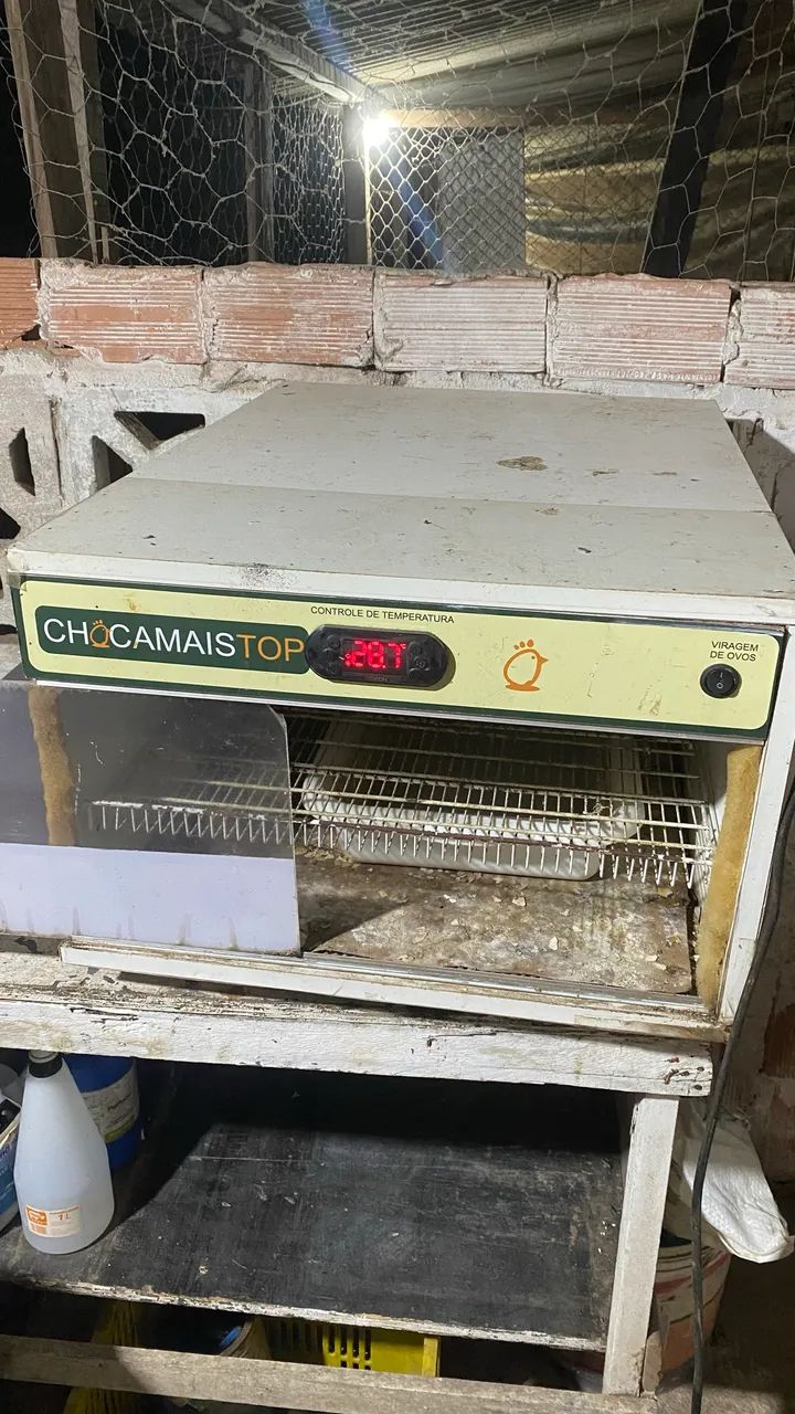 Chocadeira 120 ovos  - Foto 4