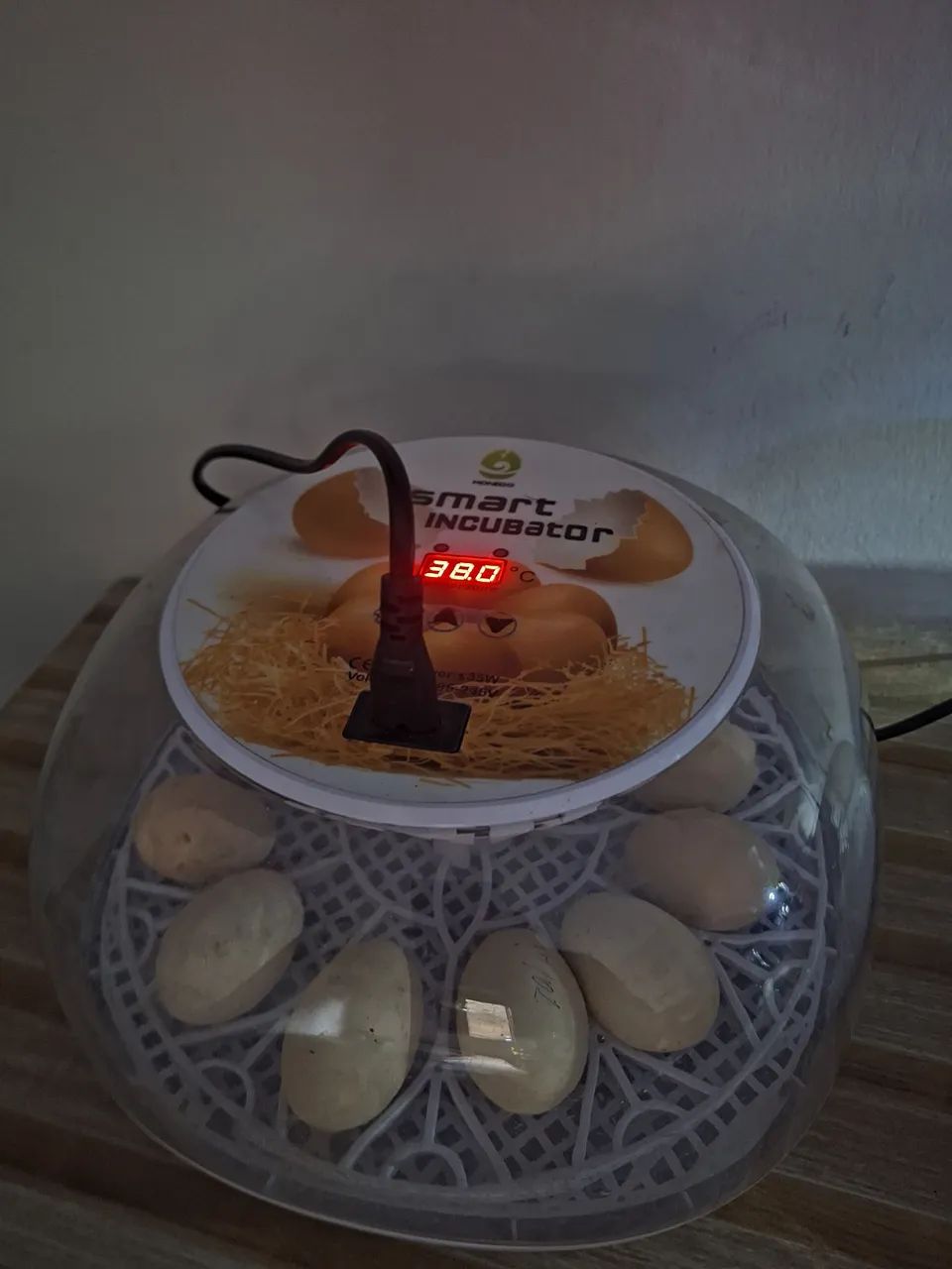 Chocadeira automática para 12 ovos 