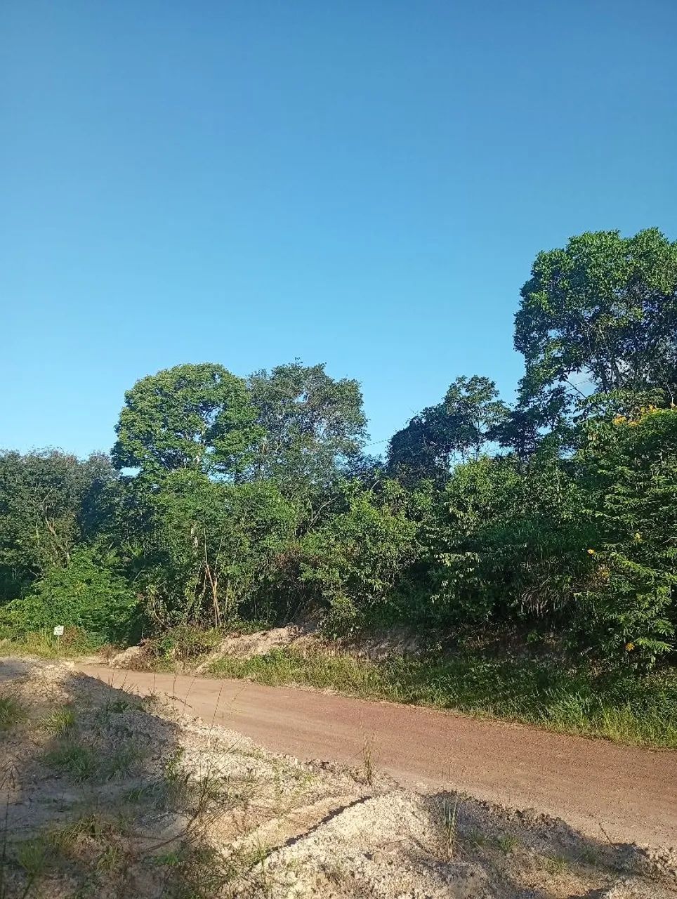 Terreno com olho d'água