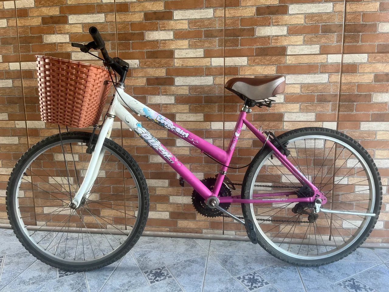 Bicicleta Aro 24