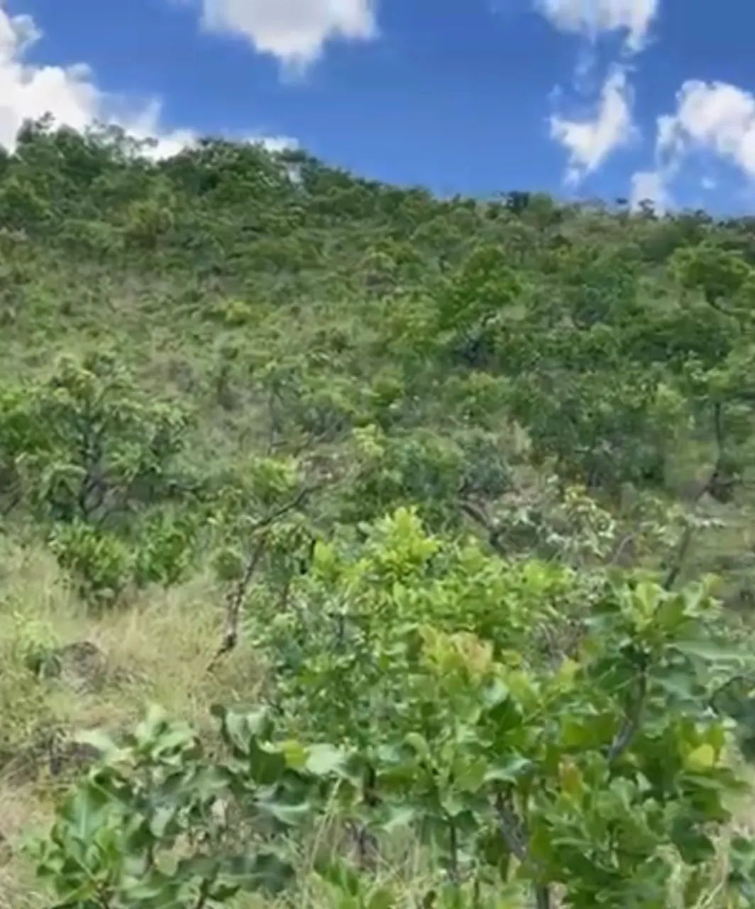 Fazenda em barro alto  - Foto 5
