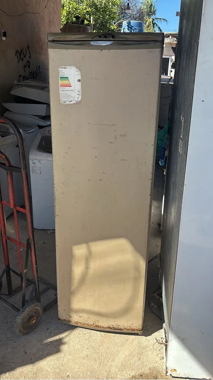 Frezzer vertical 