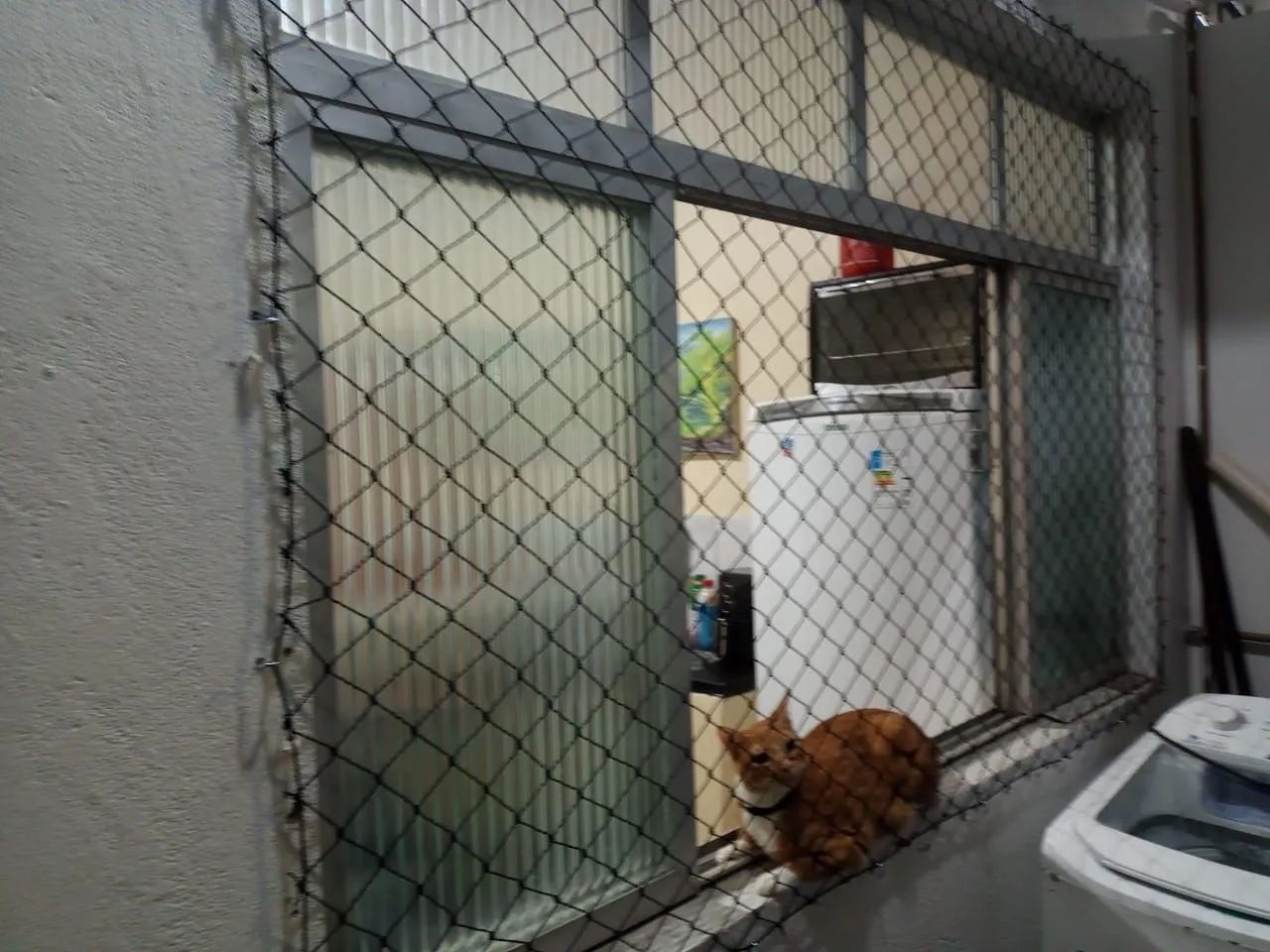 Telas de Proteção  - Foto 2