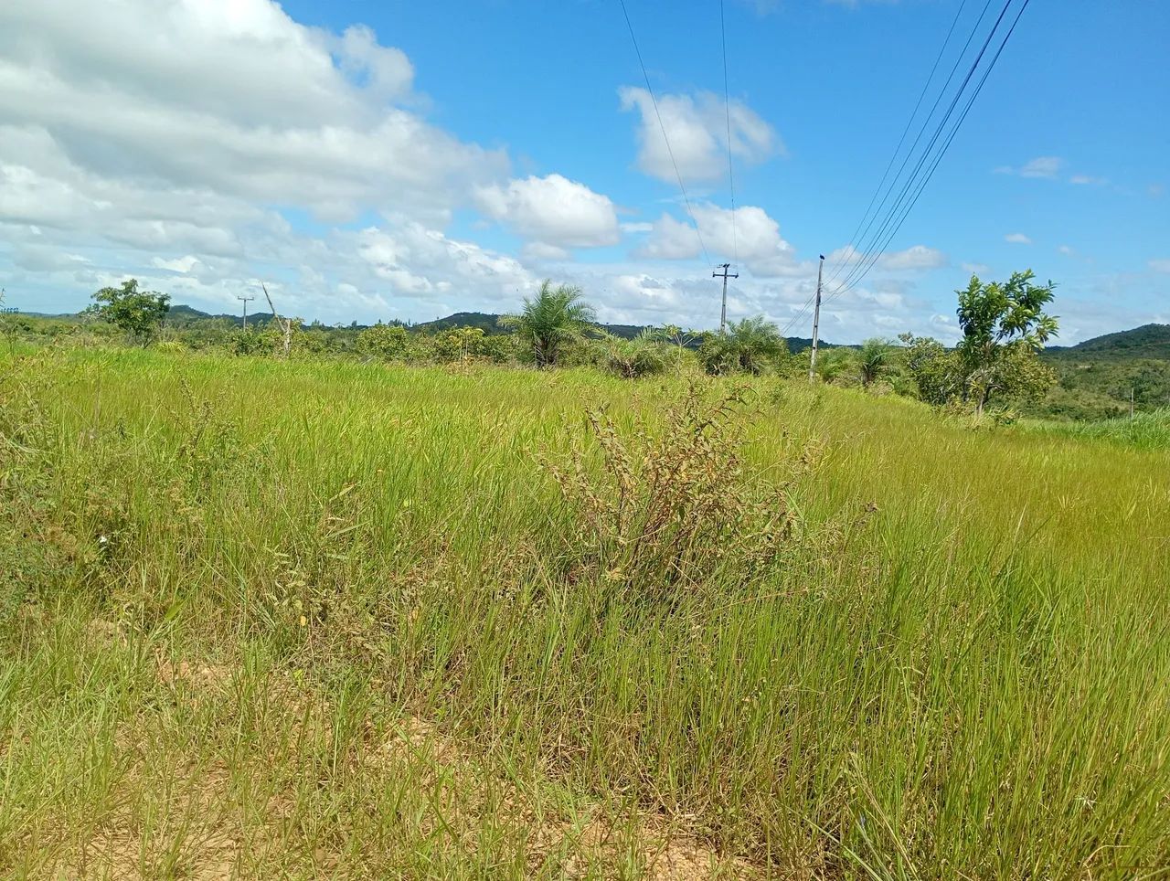 Oportunidade!!! - Foto 2