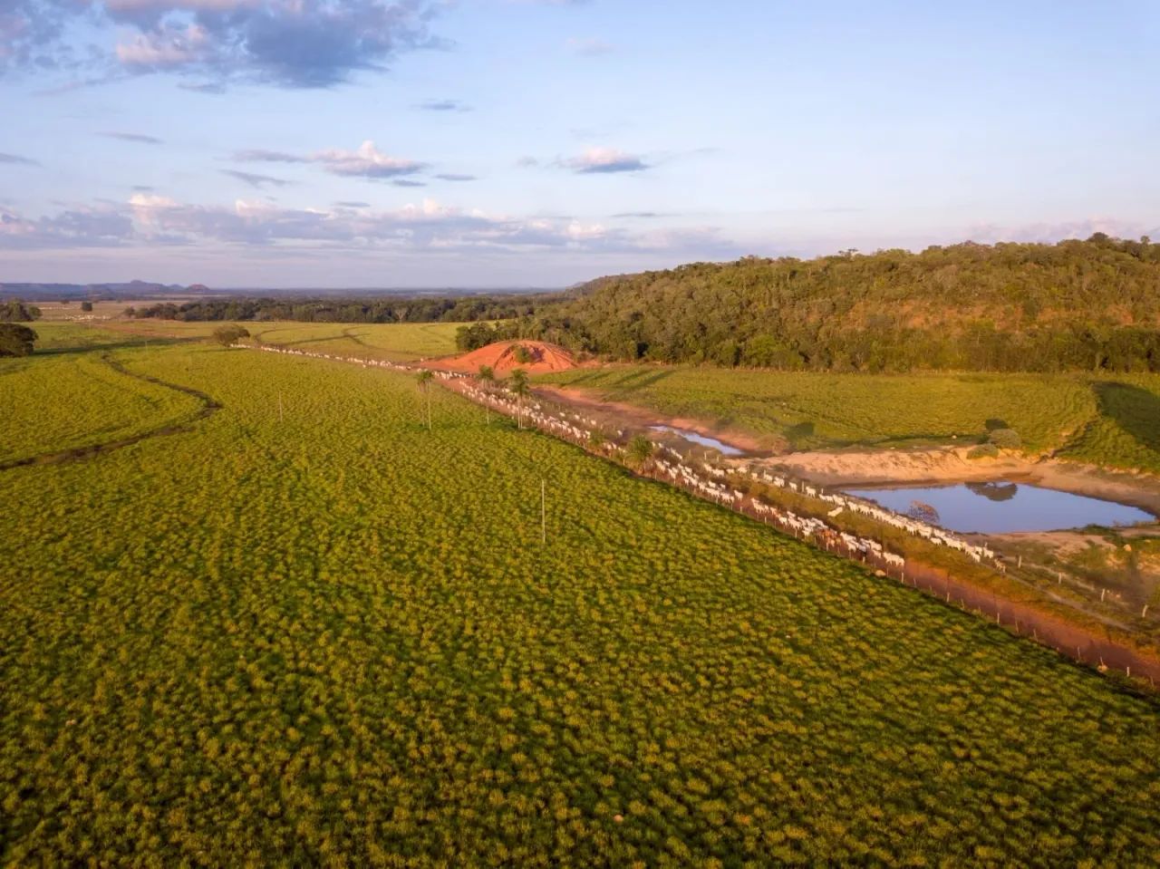 Fazenda a venda 18.800 hectares em Goiatins Tocantins!!!