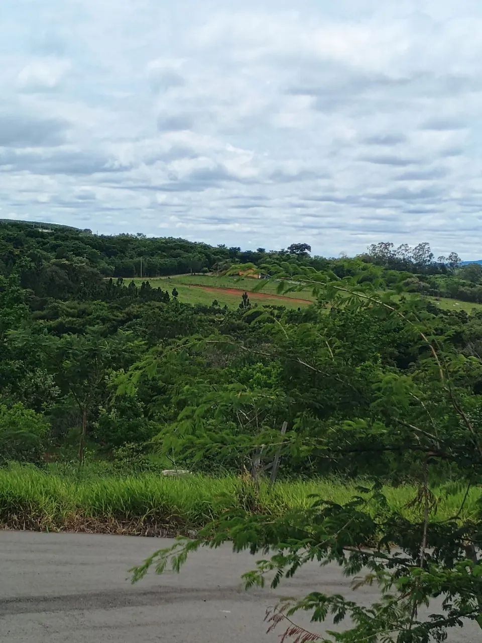 Venda