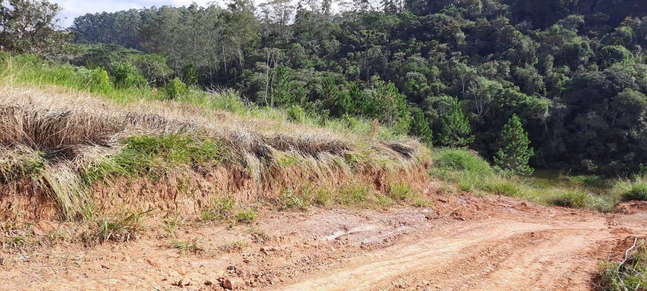 Terreno 300 metros quadrados. - Foto 2