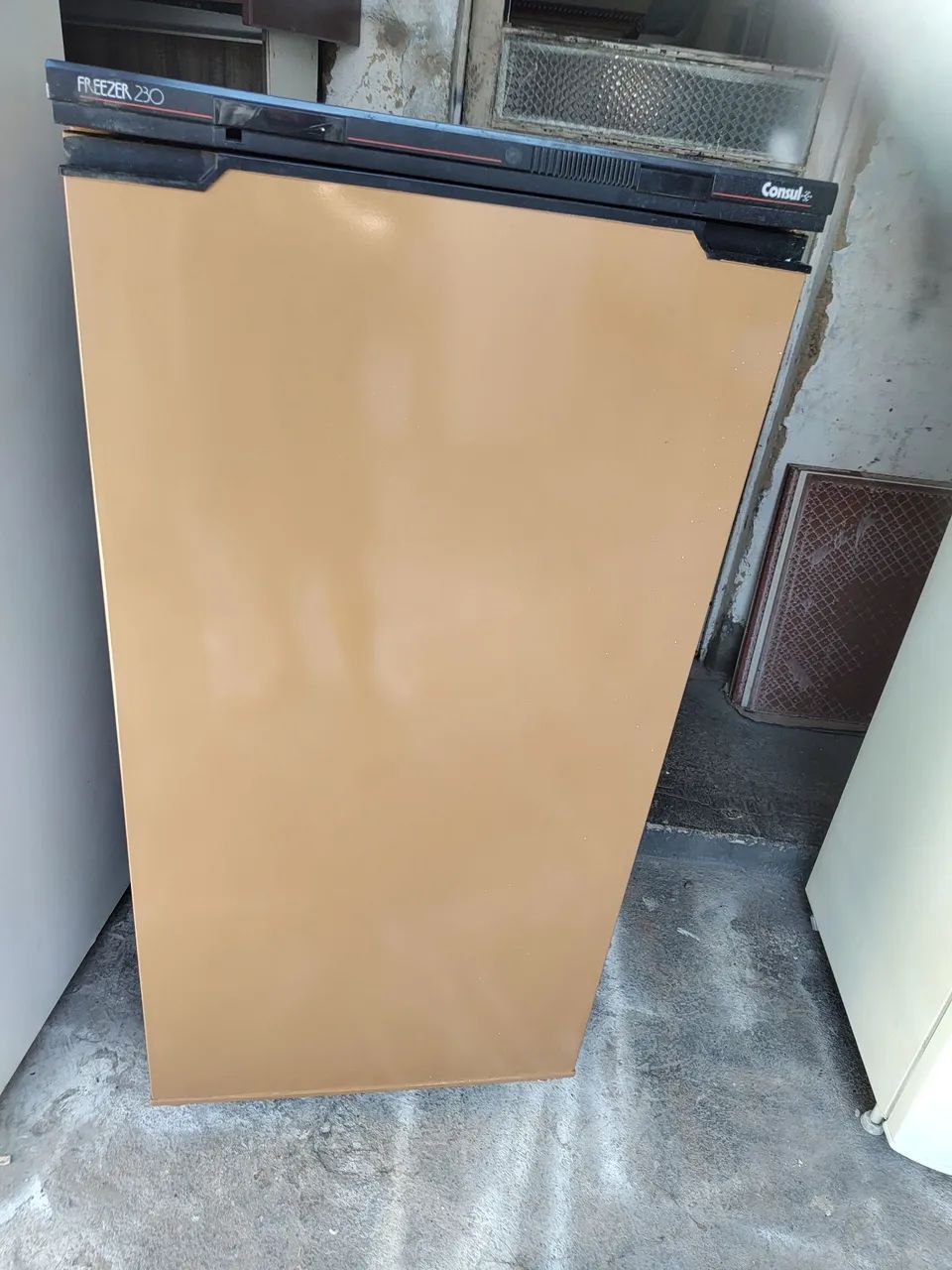Freezer vertical 220v