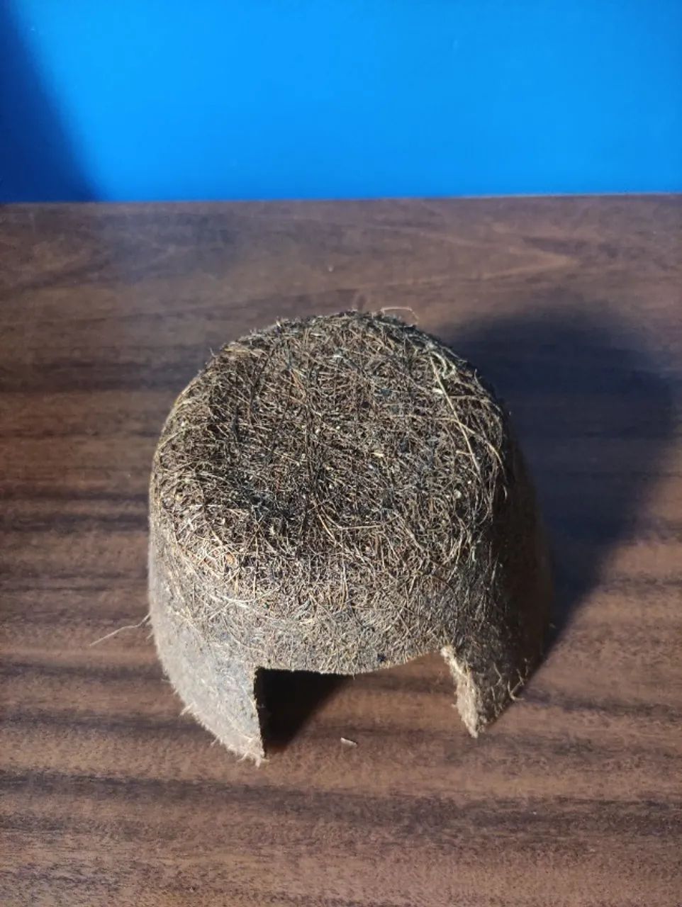 Toca de Fibra de Coco Natural para Hamster (Usada - Ótimo Estado) - Foto 3