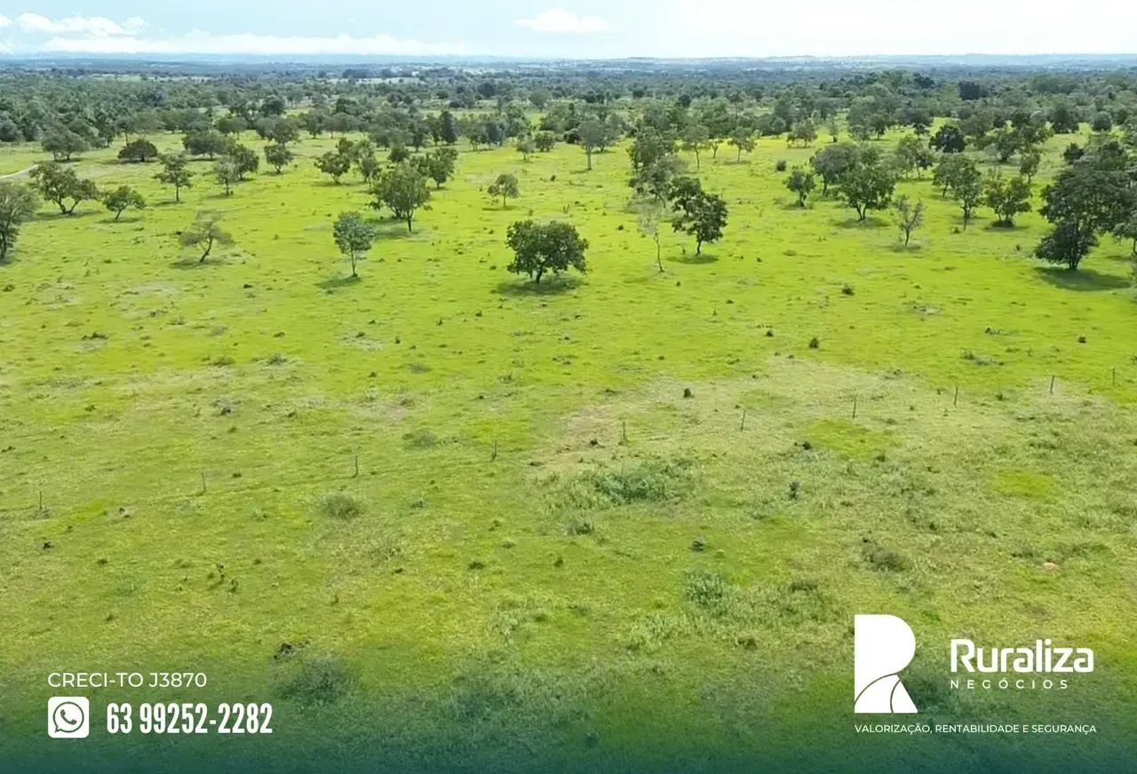 ALTO POTENCIAL AGRÍCOLA | ÓTIMA OPORTUNIDADE - Foto 3