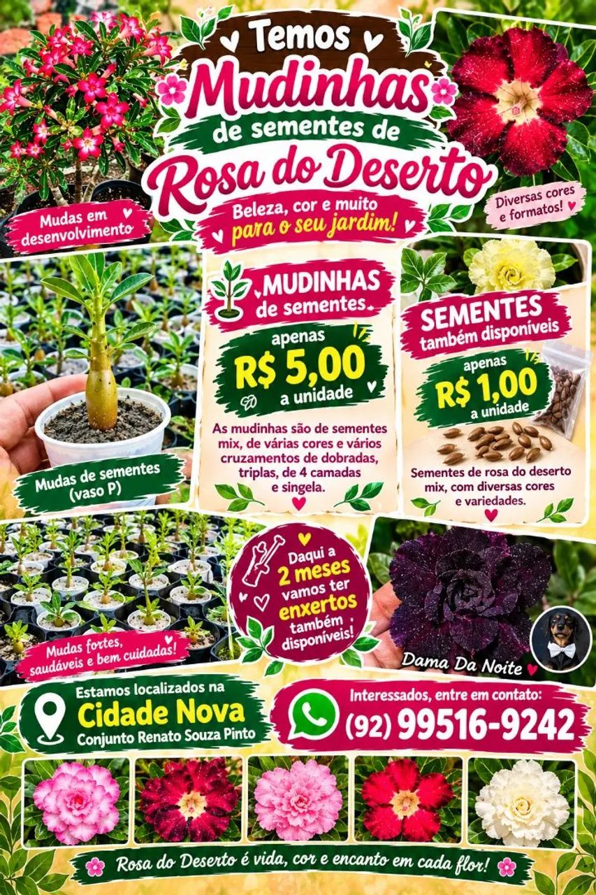 Flores - Foto 2