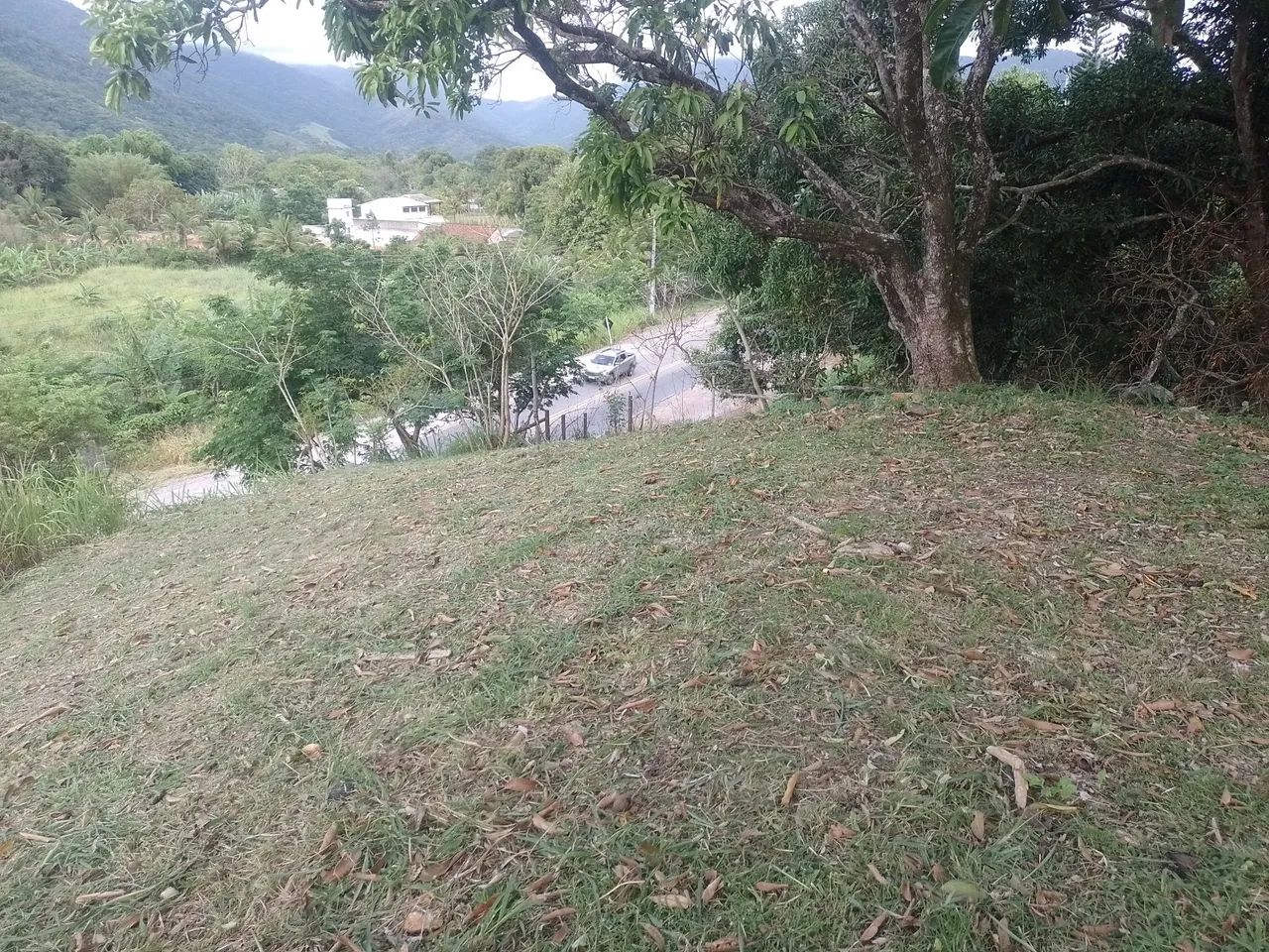 Serviços cm roçadeira  - Foto 3